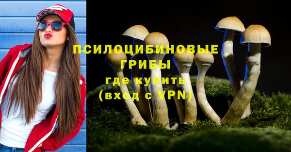 прущий лед Алексин