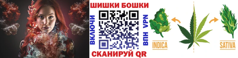 купить наркоту  Пустошка  Шишки марихуана гибрид 